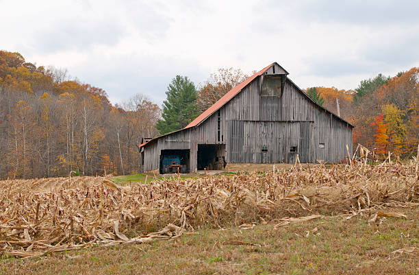 Classic American red barn with flag on autumn