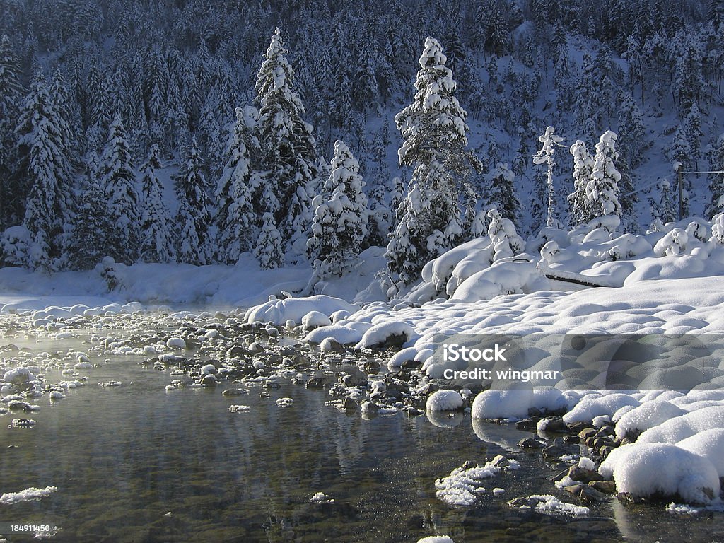 Merveilles d'hiver terre dans le Tyrol, Autriche - Photo de Aiguille - Partie d'une plante libre de droits