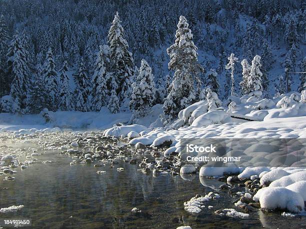 Photo libre de droit de Merveilles Dhiver Terre Dans Le Tyrol Autriche banque d'images et plus d'images libres de droit de Aiguille - Partie d'une plante - Aiguille - Partie d'une plante, Alpes européennes, Arbre