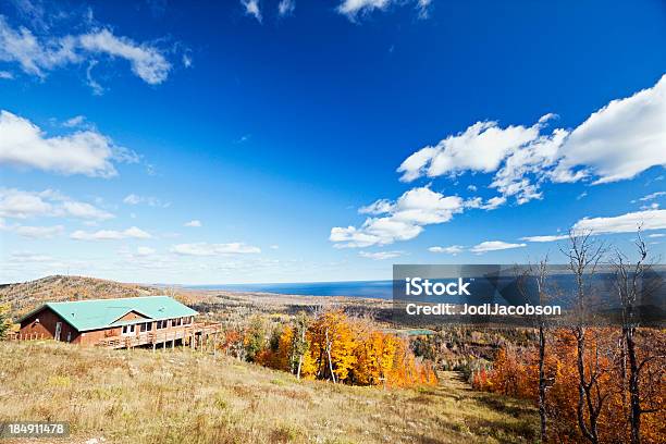 Follaje Otoñal Foto de stock y más banco de imágenes de Minnesota - Minnesota, Norte, Rama - Parte de planta