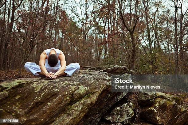 Una Con La Naturaleza Foto de stock y más banco de imágenes de Autoridad - Autoridad, Georgia - Estado de EEUU, Actividades y técnicas de relajación