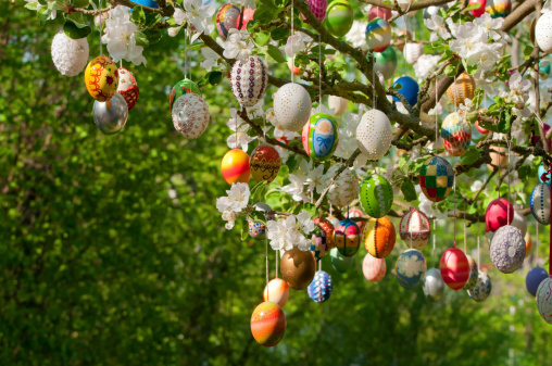 eastereggs hanging on apple tree. A lot of colorful and handmade eggs. More of this series: