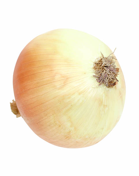 onion - sweet onion ストックフォトと画像