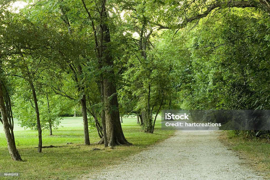Ścieżki w parku - Zbiór zdjęć royalty-free (Arkada)