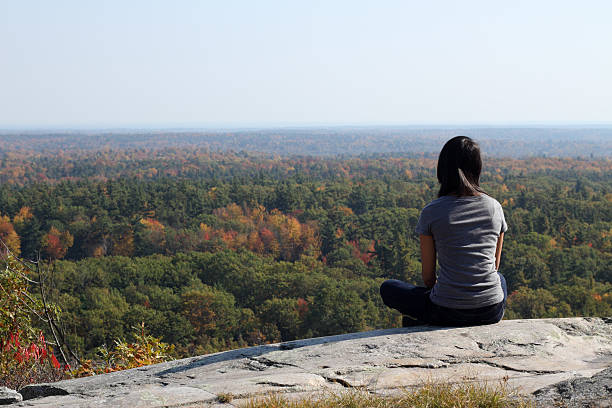 istock Young woman contemplating the forest 184912359