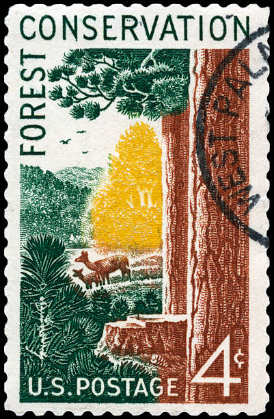 istock United States Postage Stamp 184912484