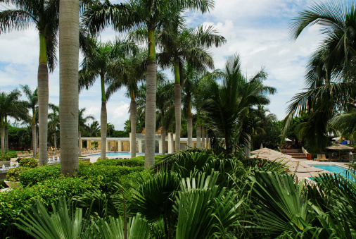 backyard of a resort hotel in florida