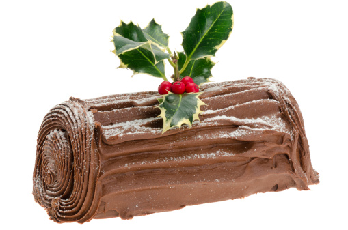 Chocolate Yule log - studio shot with a white background
