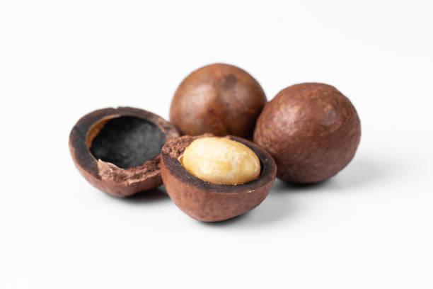 Macadamia nuts on white background, top view stock photo