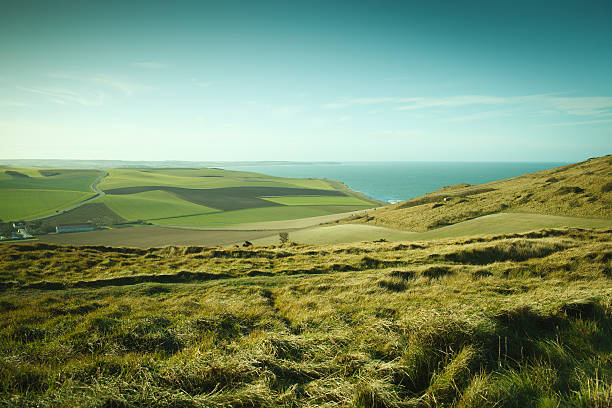 des pelouses vertes sur les falaises du nord de la france - normandie photos et images de collection