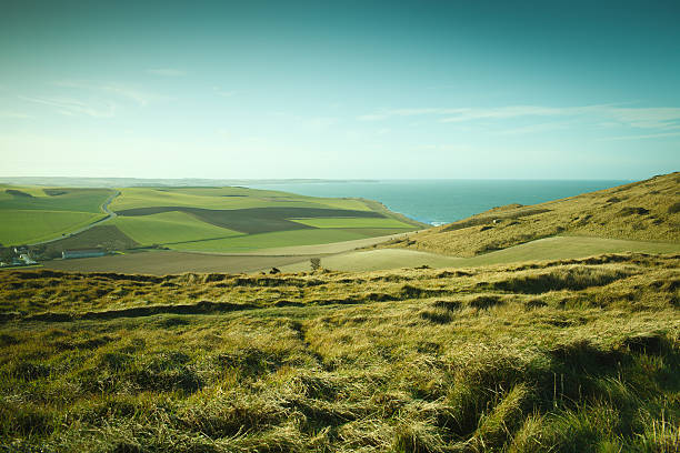 Grassy fields on cliffs in northern France stock photo