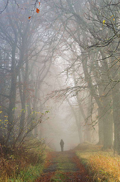 istock Silhouette of a figure walking down a path in a misty wood 184913021
