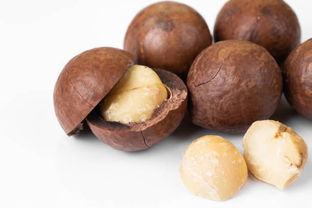 Macadamia nuts closeup on white background stock photo