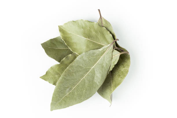 bay leaf macro, bay leaves isolated on white background closeup stock photo