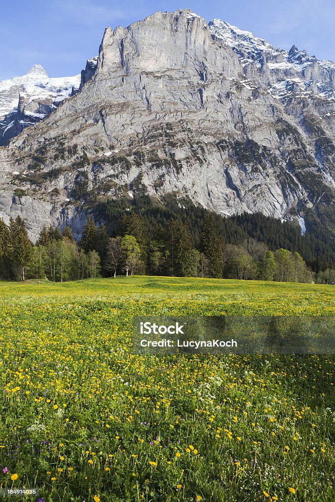Frühling in den Bergen - Lizenzfrei Alpen Stock-Foto