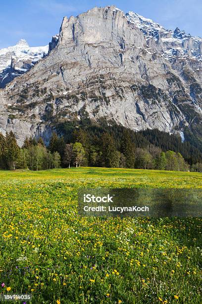 Frühling In Den Bergen Stockfoto und mehr Bilder von Alpen - Alpen, Berg, Berggipfel