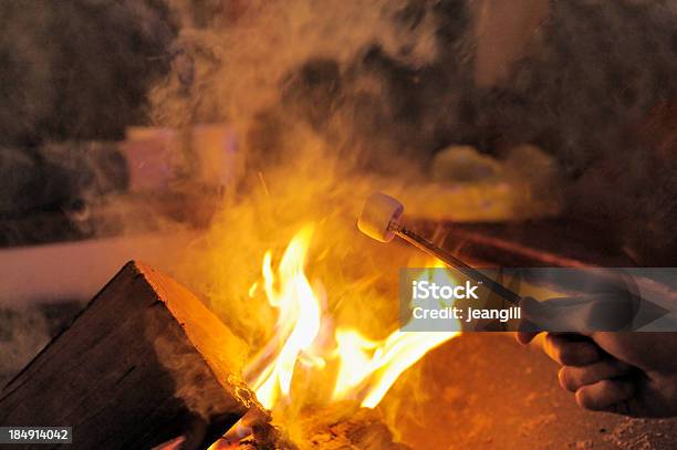 Brindis De Malvavisco De Fuego Foto de stock y más banco de imágenes de Navidad - Navidad, Tostada, Actividad después de esquiar