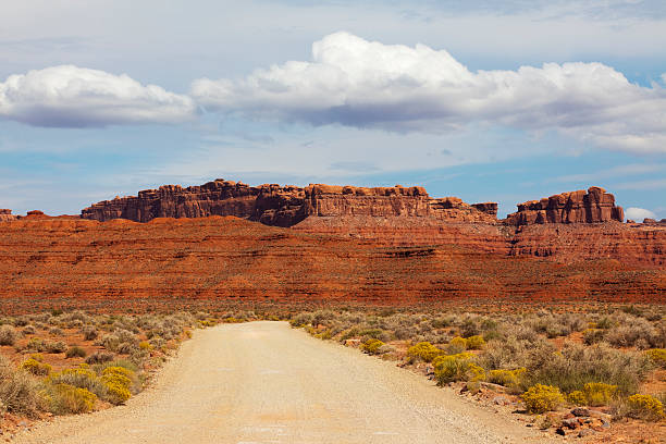 istock Red Rock Formations Valley of the Gods 184914171
