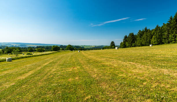 istock Summer rolling landscape with meadows, haystacks, forests and blue sky 1849142481