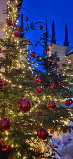 chrismas tree in Salzburg Hellbrunn