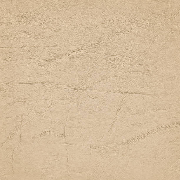 istock High Resolution Old Beige Leather Crumpled Wizened Grunge Texture 184914490