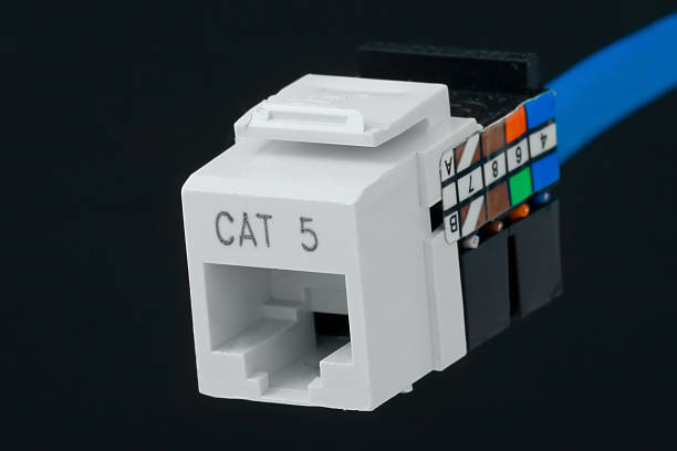 network plug for wall outlet cat 5 stock photo