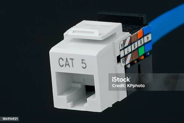 Network Plug For Wall Outlet Cat 5 Stock Photo - Download Image Now - Electrical Outlet, Business, Cable