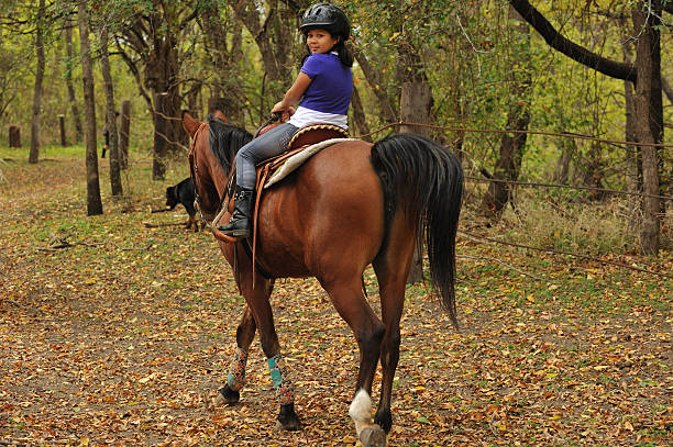 menina andando a cavalo - white purebred horse riding sports traditional sport - fotografias e filmes do acervo