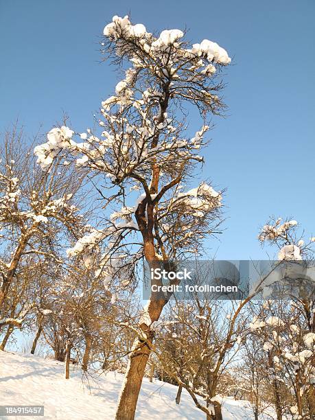 Winterlandschaft Stockfoto und mehr Bilder von Anhöhe - Anhöhe, Baum, Blau