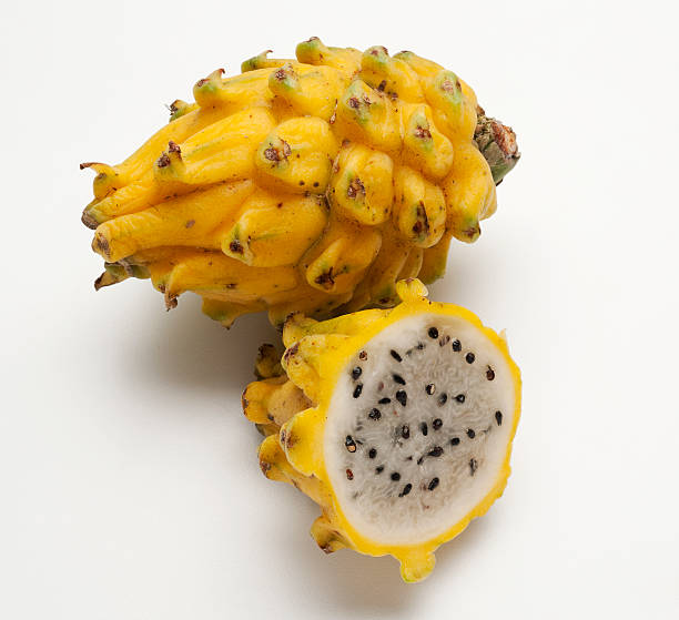 Pitahaya tropical fruit "Yellow pitahaya, yellow-skinned Dragon fruit, tropical exotic fruit on white background." night blooming cereus stock pictures, royalty-free photos & images