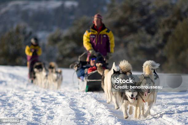 Gente Cerca De Trineo Con Perros En Las Montañas De Invierno Foto de stock y más banco de imágenes de Trineo con perros