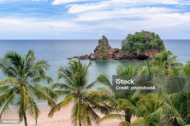 Tropical Lonely Beach Stock Photo - Download Image Now - Cayo District - Belize, Breaking Wave, Bubble Bath