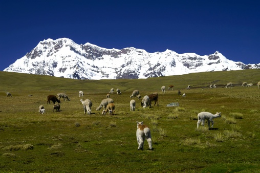 Ausangate mountain in Andes (Cordillera Vilcanota), Peru