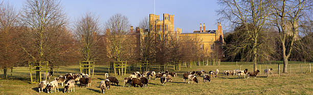 coughton court warwickshire coughton court warwickshire coughton stock pictures, royalty-free photos & images