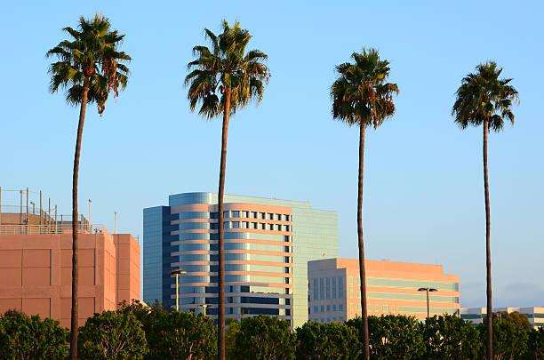 istock Irvine highrise buildings and palm trees 184916209