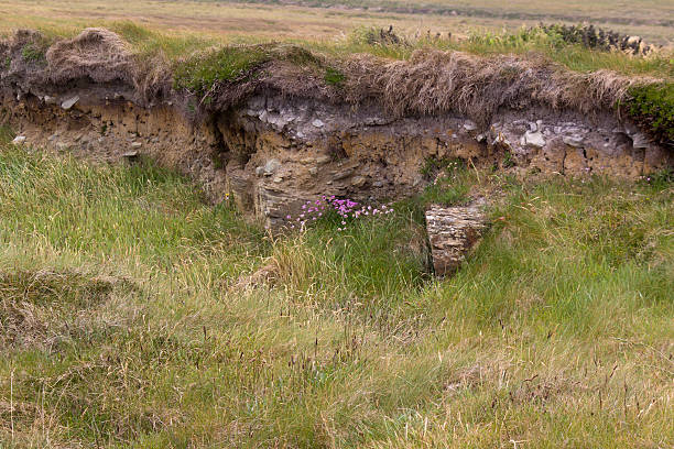 sandy sod - kilkee foto e immagini stock