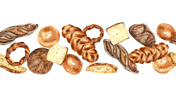 Variety kinds bread watercolor seamless border isolated on white. Hand drawn rye loaf, ciabatta for bakery. Painted challah, bagel. Illustration of simit, toast. Design for bakeshop, packaging Variety kinds bread watercolor seamless border isolated on white. Hand drawn rye loaf, ciabatta for bakery. Painted challah, bagel. Illustration of simit, toast. Design for bakeshop, packaging. whole wheat sesame bagel bread stock illustrations