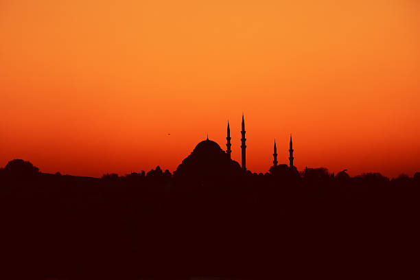 istock Silhouette of Istanbul, Turkey 184917219