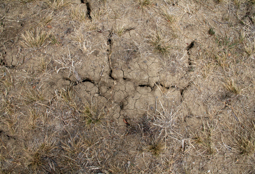 A detailed photo of harsh cracked ground. See more backgrounds here: