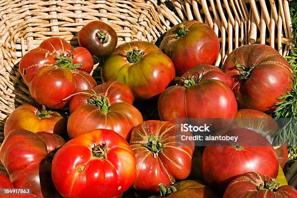 Foto de Cesta De Tomate Orgânico Tipo Heirloom e mais fotos de stock de Cesto - Cesto, Comida e bebida, Cru