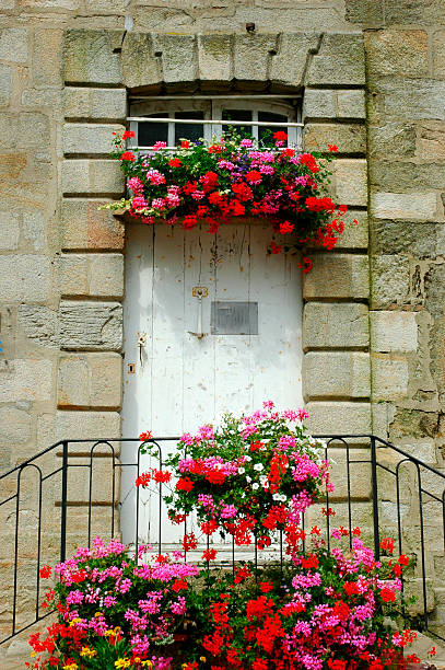 istock Door with flowers 184917950