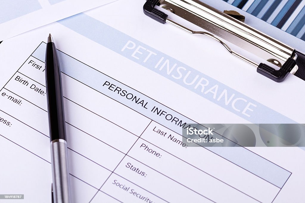 ペット保険 - ペットのロイヤリティフリーストックフォト