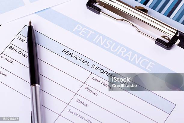 ペット保険 - ペットのストックフォトや画像を多数ご用意 - ペット, 保険, ヘルスケアと医療