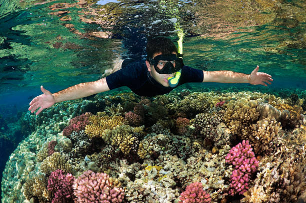 istock Snorkeling in the Red Sea 184918882