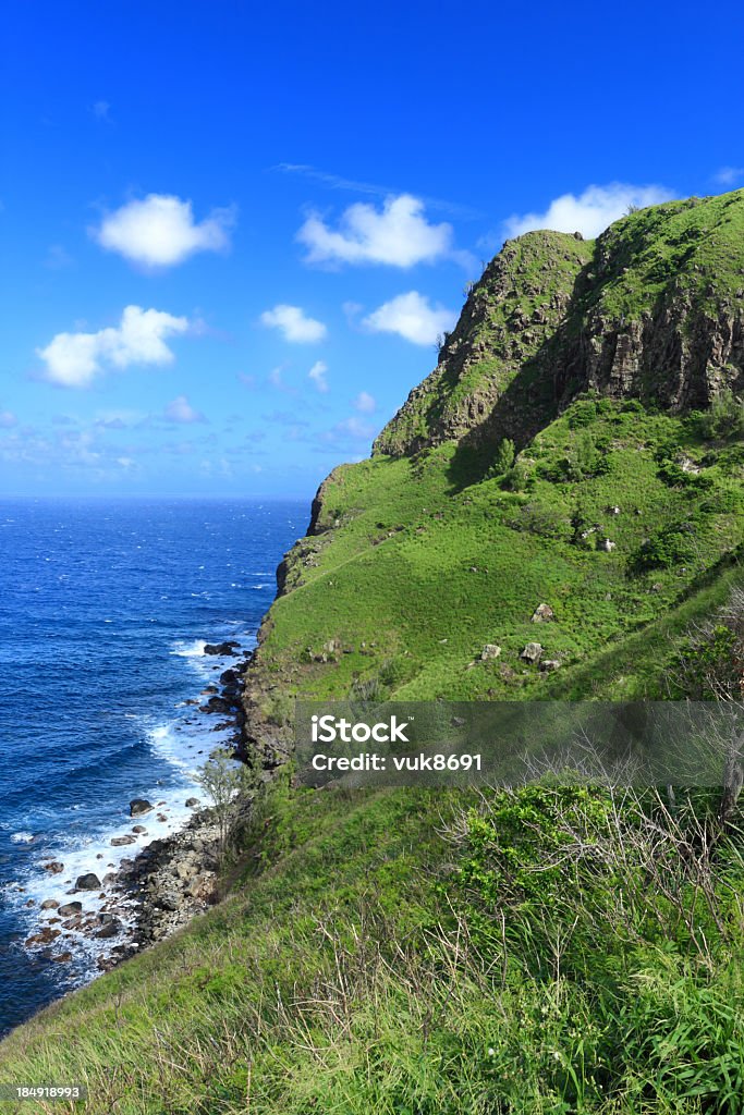 Bela paisagem havaiana - Foto de stock de Hana - Maui royalty-free