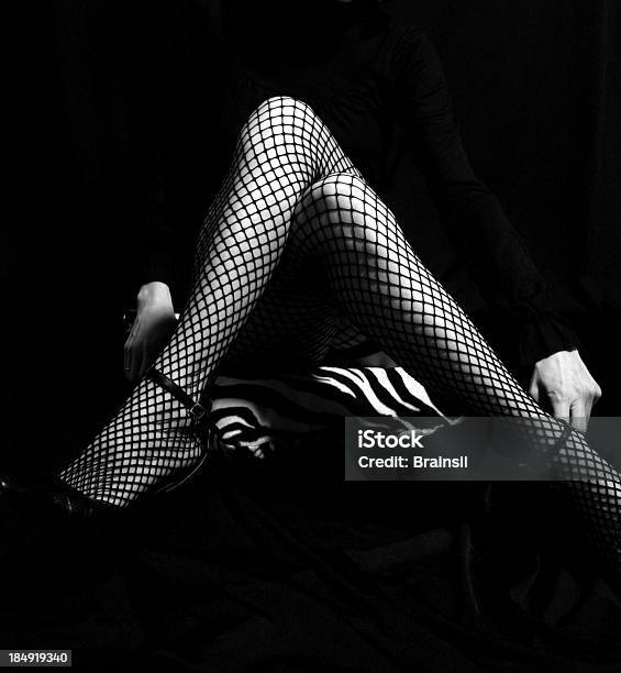 Fishnet Foto de stock y más banco de imágenes de Estampado de cebra - Estampado de cebra, Adulto, Adulto joven