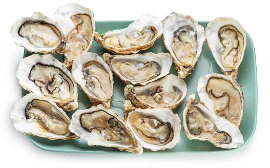 Opened raw oysters on blue plate top view. Delicacy food. File contains clipping path.