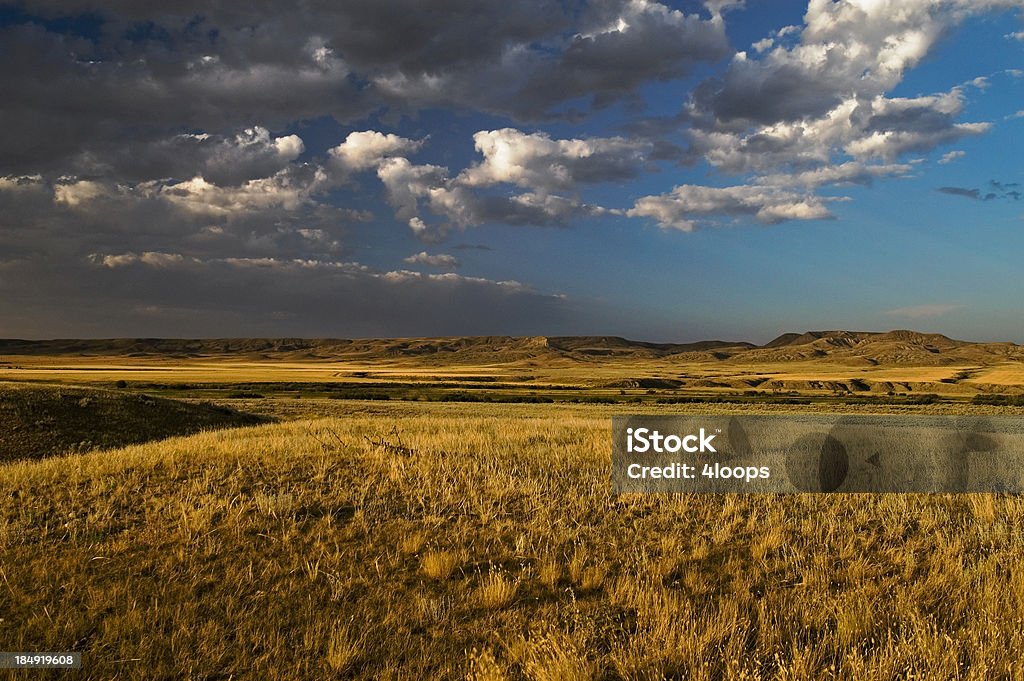 Prairie de Badlands - Photo de Saskatchewan libre de droits