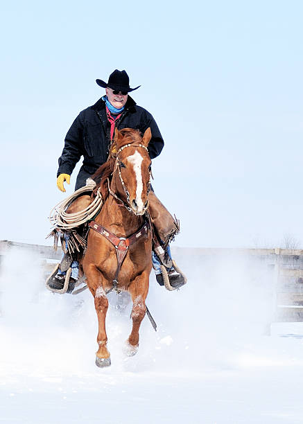 Cowboy on Quarter Horse Galloping thru Snow stock photo