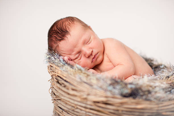 istock Newborn Baby Sleeping Peacefully in Basket with Fuzzy Texture Blanket 184919944
